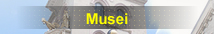 Musei messinesi